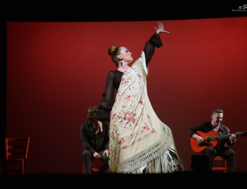 Corsi YIQI FLAMENCO ESTUDIO 2019 / SHANGHAI (CINA)